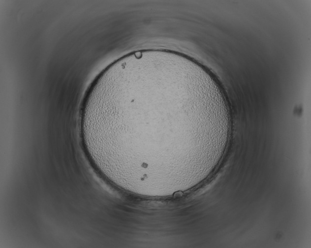 X0000090901517200708270933