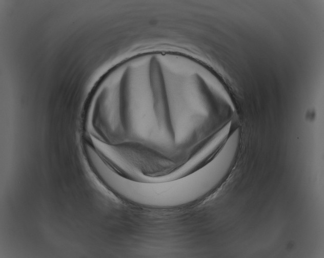 X0000090901518200708270933