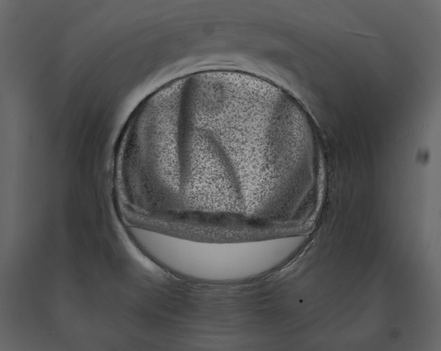 X0000090901519200708270933