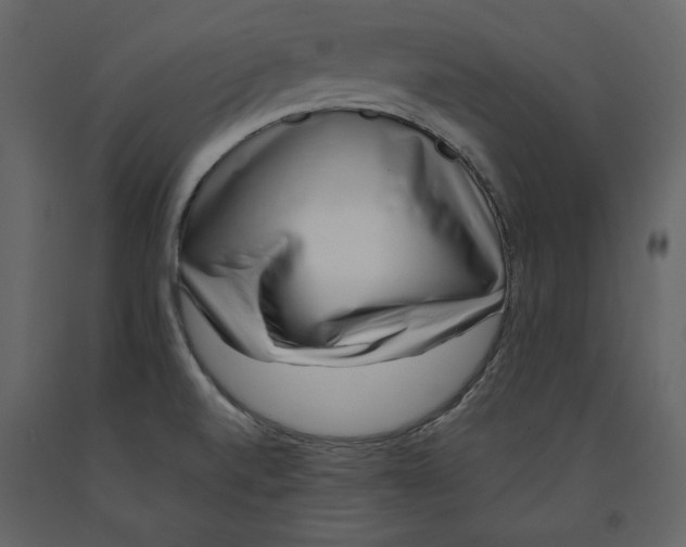 X0000090901520200708270933