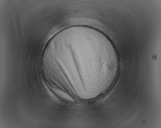 X0000090901521200708270933