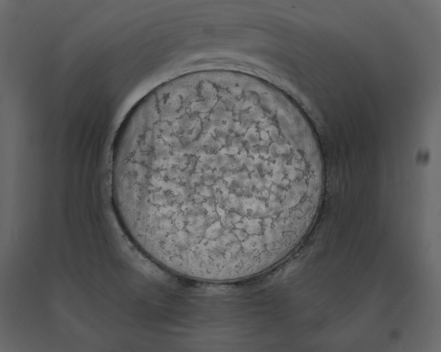 X0000090901522200708270933