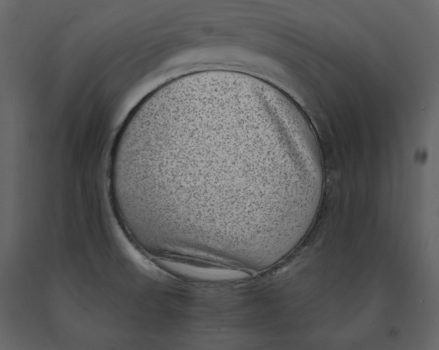 X0000090901523200708270933