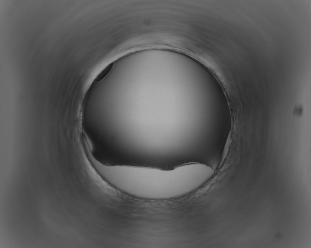 X0000090901524200708270933