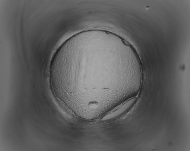 X0000090901525200708270933