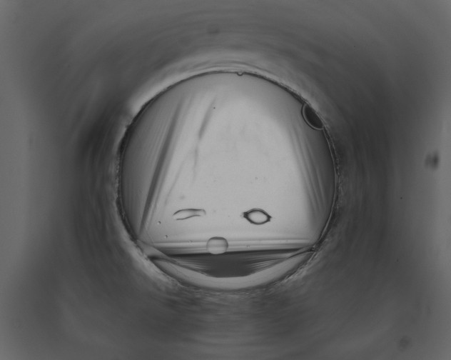 X0000090901526200708270933