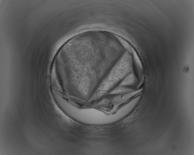 X0000090901527200708270933