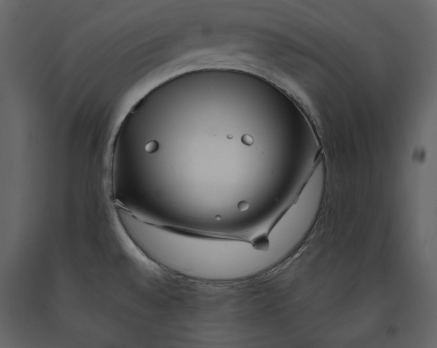 X0000090901528200708270933