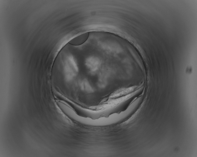 X0000090901529200708270933