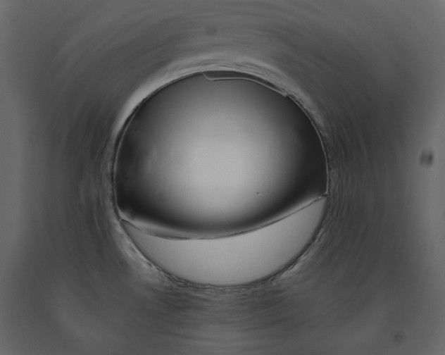 X0000090901530200708270933