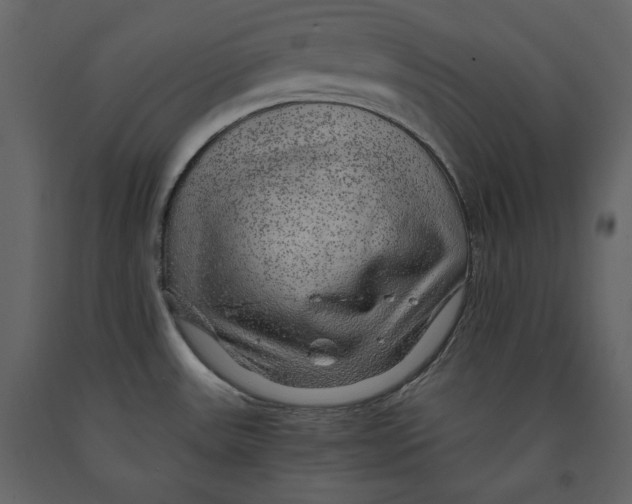 X0000090901531200708270933