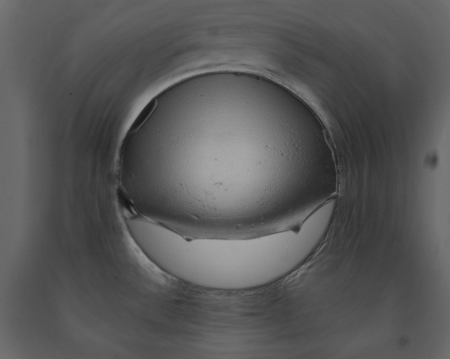 X0000090901532200708270933