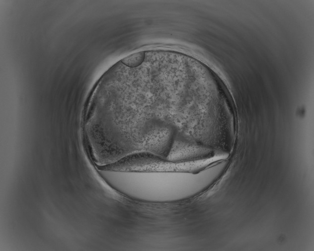 X0000090901533200708270933