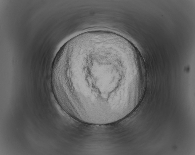 X0000090901534200708270933