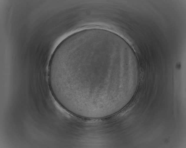 X0000090901535200708270933