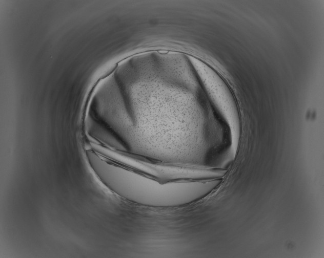 X0000090901536200708270933