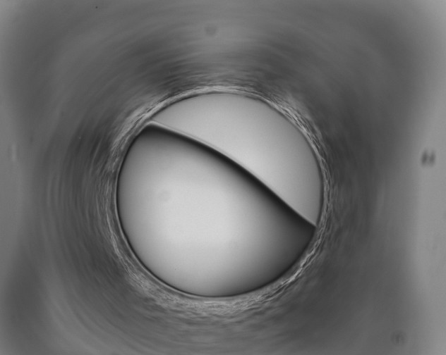 X0000090910001200707301042