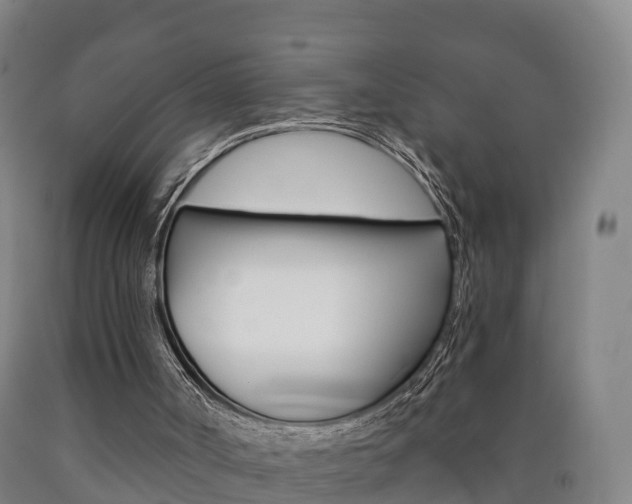 X0000090910002200707301042