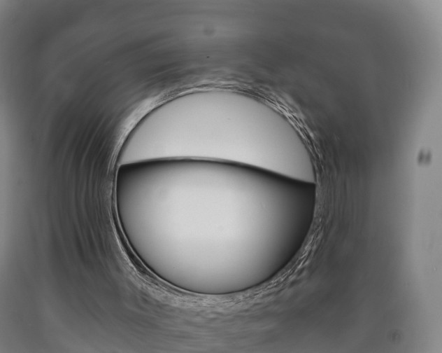 X0000090910003200707301042
