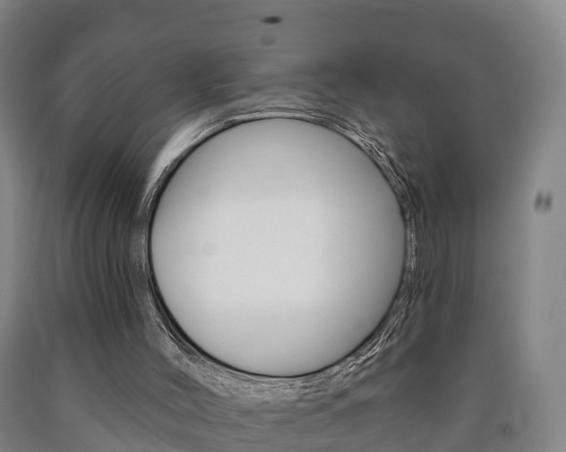 X0000090910004200707301042