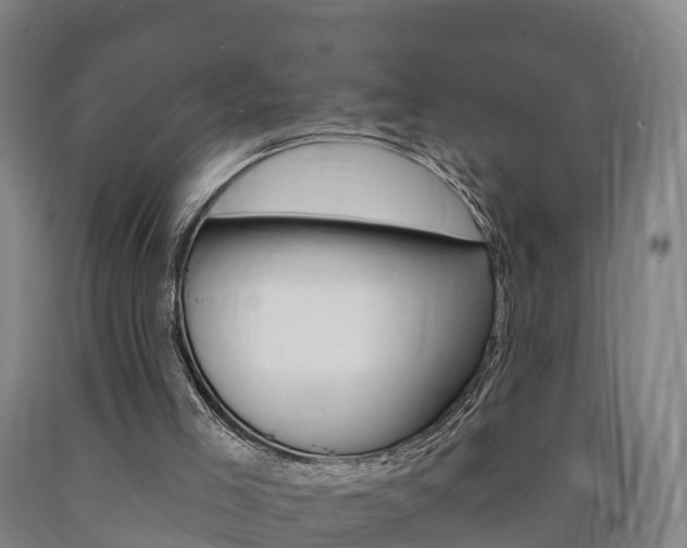 X0000090910005200707301042