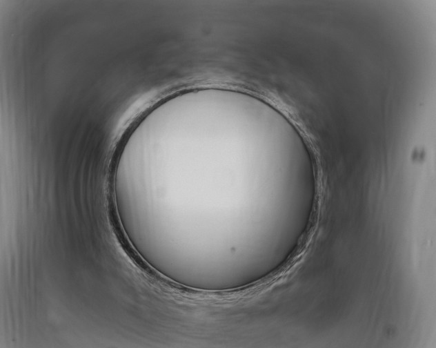 X0000090910007200707301042