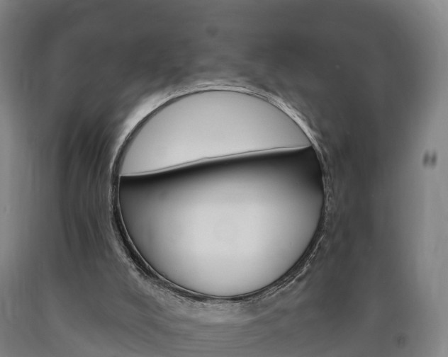 X0000090910008200707301042