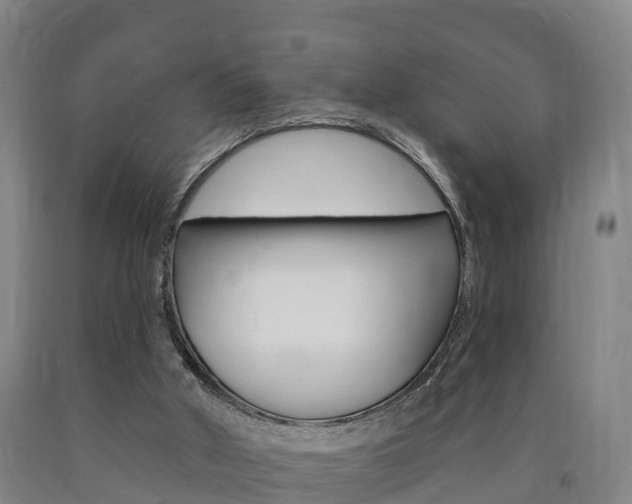 X0000090910010200707301042