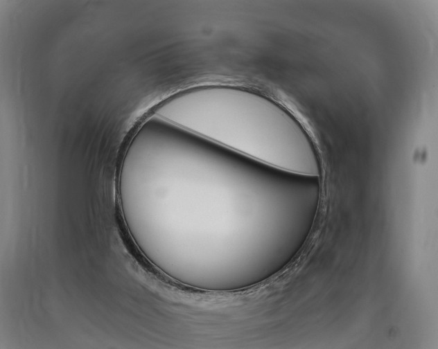 X0000090910011200707301042
