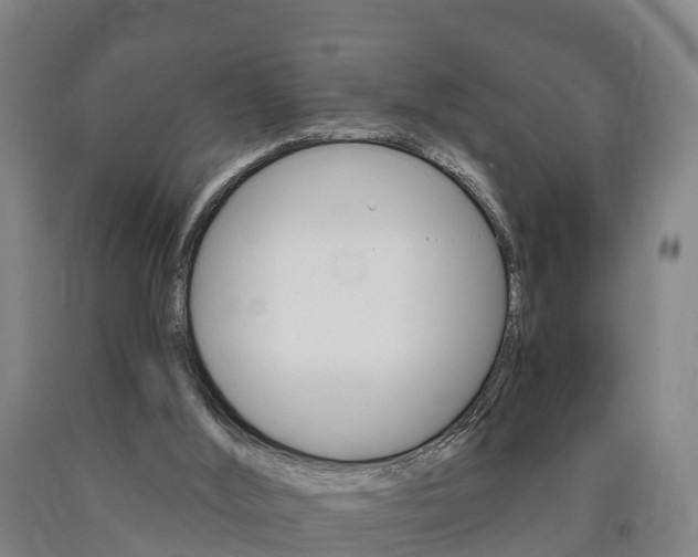 X0000090910012200707301042