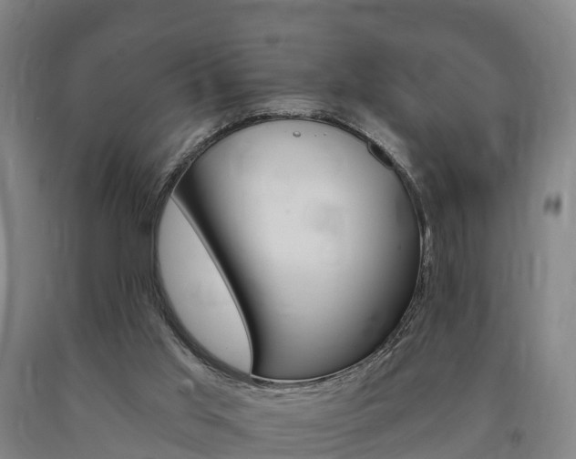 X0000090910013200707301042
