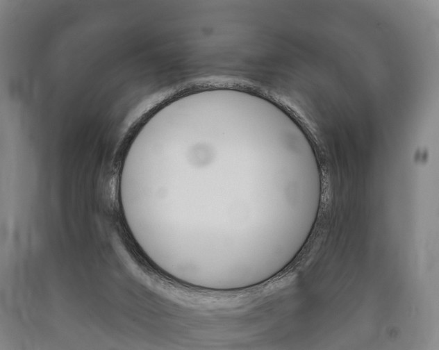 X0000090910016200707301042