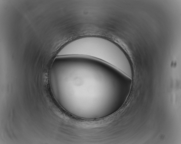 X0000090910017200707301042