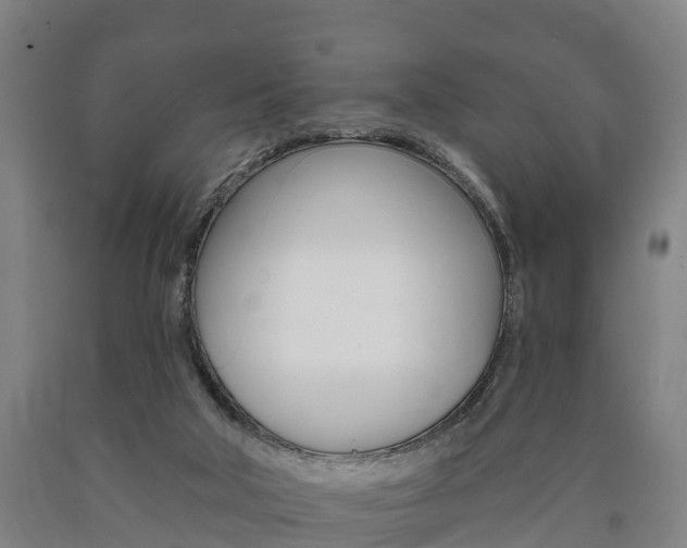 X0000090910018200707301042