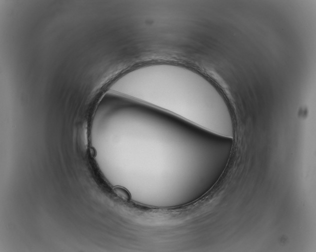 X0000090910020200707301042