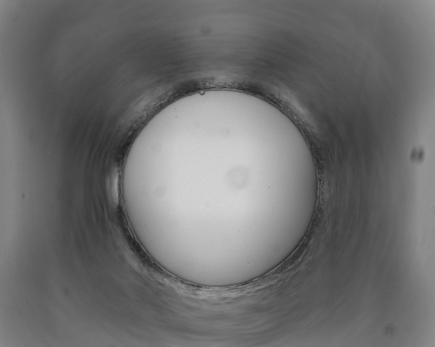 X0000090910022200707301042