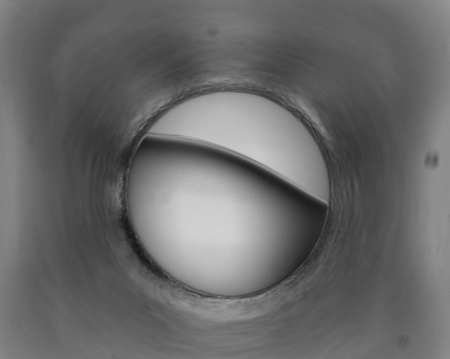 X0000090910023200707301042