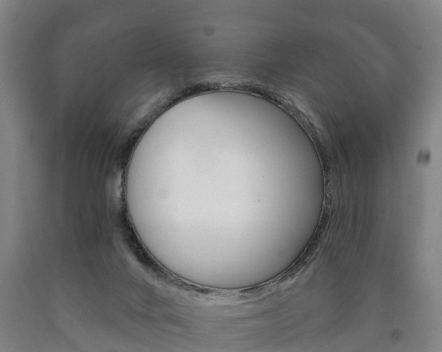X0000090910024200707301042