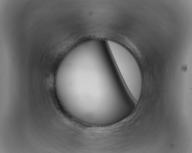 X0000090910025200707301042