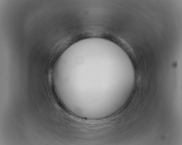 X0000090910026200707301042