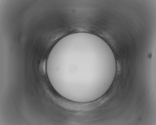 X0000090910028200707301042