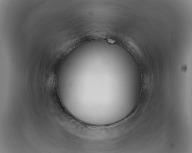 X0000090910029200707301042