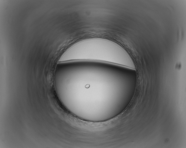 X0000090910031200707301042