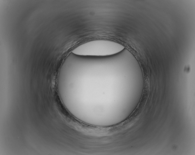 X0000090910032200707301042