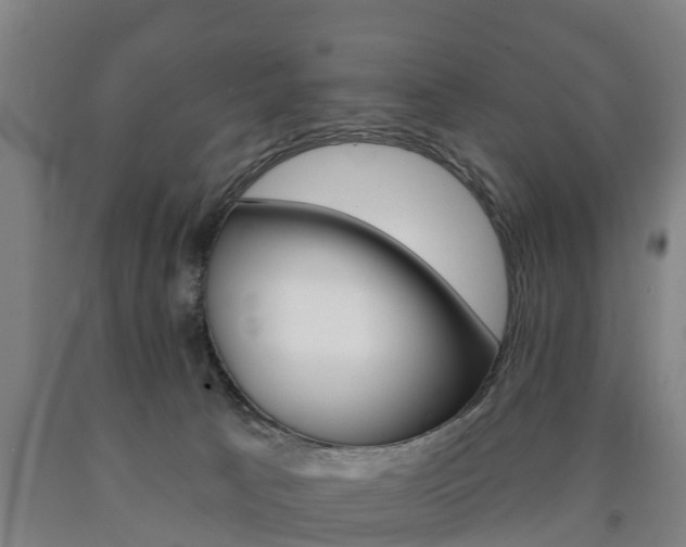 X0000090910033200707301042