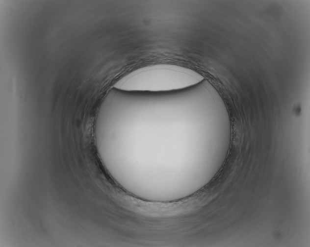 X0000090910034200707301042