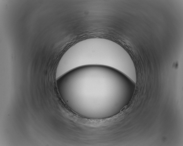 X0000090910037200707301042