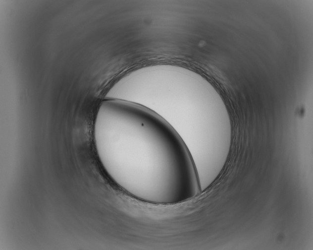 X0000090910039200707301042