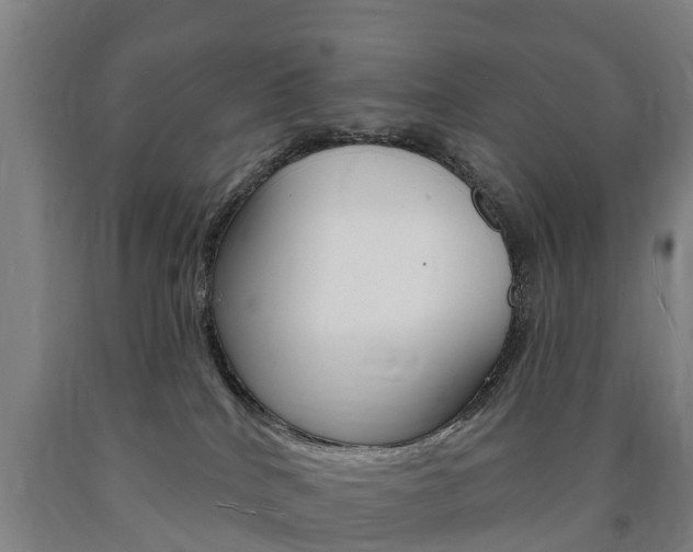 X0000090910040200707301042