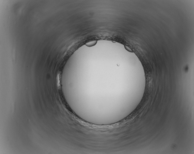 X0000090910042200707301042